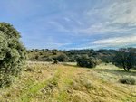 Land in Valdemorillo, Spain No. 118435 - Image 6