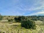 Land in Valdemorillo, Spain No. 118435 - Image 7