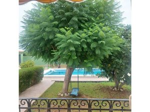 4 bedrooms House in Castellon de la Plana, Spain No. 119792