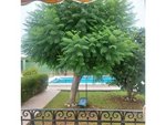 4 bedrooms House in Castellon de la Plana, Spain No. 119792 - house in Spain