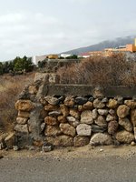 Land in Arafo, Spain No. 119820 - Image 4