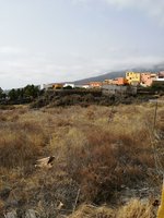 Land in Arafo, Spain No. 119820 - Image 8