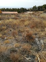 Land in Arafo, Spain No. 119820 - Image 9