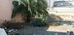 Land in Daya Vieja, Spain No. 121047 - Image 4