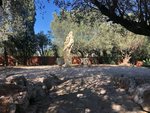 5 bedrooms Finca in Almeria, Spain No. 12137 - Image 24