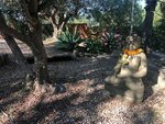5 bedrooms Finca in Almeria, Spain No. 12137 - Image 27