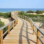 562m² Commercial property in San Fulgencio, Spain No. 12427 - Image 11