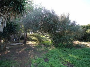 Land in Ciutadella De Menorca, Spain No. 12538