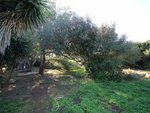 Land in Ciutadella De Menorca, Spain No. 12538 - land in Spain