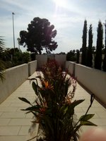 2 bedrooms Apartment in Ciudad Quesada, Spain No. 12660 - Image 11