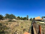 493m² Land in Naquera, Spain No. 126938 - Image 2