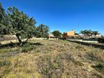 493m² Land in Naquera, Spain No. 126938 - Image 3