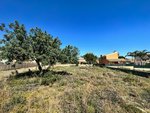 493m² Land in Naquera, Spain No. 126938 - Image 4