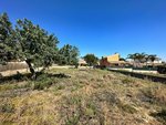 493m² Land in Naquera, Spain No. 126938 - Image 5