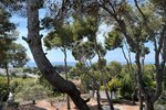1200m² Land in Castelldefels, Spain No. 12750 - land in Spain