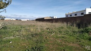 7601m² Land in Santa Maria del Paramo, Spain No. 128048
