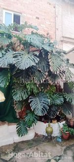 4 bedrooms House in Antella, Spain No. 129410 - Image 46