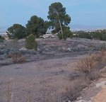 3 bedrooms Villa in Sangonera La Verde, Spain No. 12957 - Image 6
