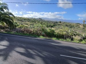 22334m² Land in Tacoronte, Spain No. 129598