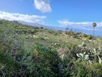 22334m² Land in Tacoronte, Spain No. 129598 - Image 2