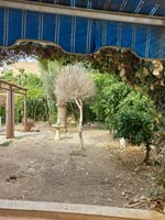 4 bedrooms Commercial property in Torrevieja, Spain No. 12985 - Image 18