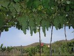 4 bedrooms House in San Miguel de Abona, Spain No. 129965 - Image 15
