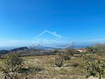 4 bedrooms House in San Miguel de Abona, Spain No. 129966 - Image 35