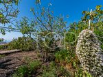 3 bedrooms House in San Miguel de Abona, Spain No. 129971 - house in Spain