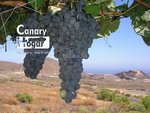 4 bedrooms House in San Miguel de Abona, Spain No. 129978 - house in Spain