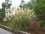 4 bedrooms House in San Miguel de Abona, Spain No. 129978 - Image 9