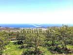 4 bedrooms House in San Miguel de Abona, Spain No. 129979 - Image 4