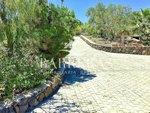 4 bedrooms House in San Miguel de Abona, Spain No. 129979 - Image 9