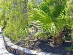 4 bedrooms House in San Miguel de Abona, Spain No. 129979 - Image 10