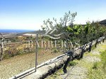 4 bedrooms House in San Miguel de Abona, Spain No. 129979 - Image 75
