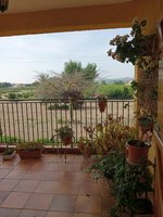 4 bedrooms House in Daya Nueva, Spain No. 13021 - Image 6