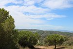 Land in El Paraiso, Spain No. 130256 - Image 11