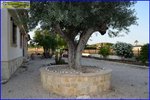 3 bedrooms House in Santomera, Spain No. 130867 - Image 32