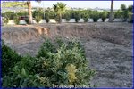 3 bedrooms House in Santomera, Spain No. 130867 - Image 36