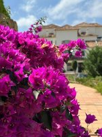 3 bedrooms Apartment in Finestrat, Spain No. 13095 - Image 30