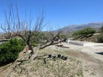 3 bedrooms Villa in Canillas de Aceituno, Spain No. 131267 - Image 23