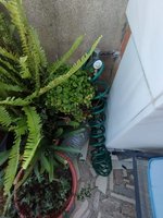 2 bedrooms Penthouse in Valencia, Spain No. 131883 - Image 7