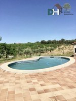 6 bedrooms House in Caceres, Spain No. 132540 - Image 21