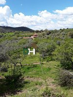 6 bedrooms House in Caceres, Spain No. 132540 - Image 23