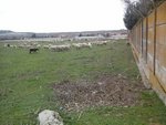 10324m² Land in Simancas, Spain No. 132569 - Image 6
