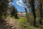 623m² Land in Flaca, Spain No. 13319 - Image 21