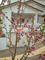 5 bedrooms Villa in Cabrils, Spain No. 13323 - Image 3