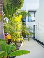 8 bedrooms Villa in Adeje, Spain No. 13842 - Image 4