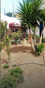 6 bedrooms Villa in Buzanada, Spain No. 13928 - Image 4