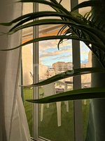 1 bedroom Apartment in Playa Paraiso, Spain No. 14030 - Image 2