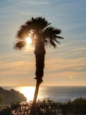 3 bedrooms Apartment in Nova Santa Ponsa, Spain No. 14151